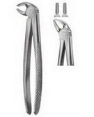 Tooth Extracting Forceps  